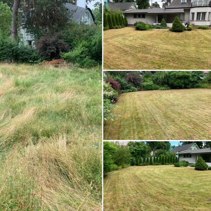 ZĀLIENA SAKOPŠANA - PĻAUŠANA UN VERTIKULĀCIJA